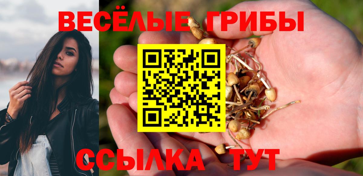 Псилоцибиновые грибы Magic Shrooms Ртищево